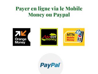 Payer-en-ligne-via-le-Mobile-Money-ou-Paypal.png